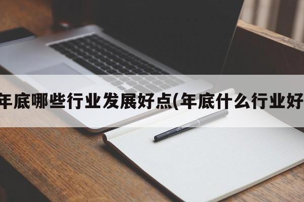 年底哪些行业发展好点(年底什么行业好)