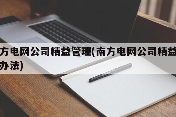 南方电网公司精益管理(南方电网公司精益管理办法)